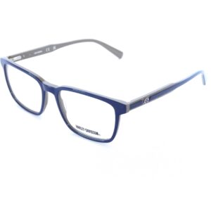 Armazón Harley-Davidson|HD0972 Azul/Gris